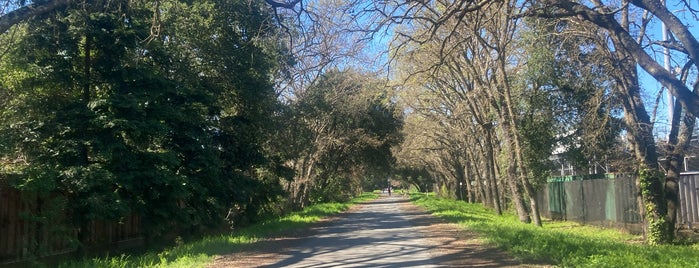 Iron Horse Trail is one of The Great Outdoors!.