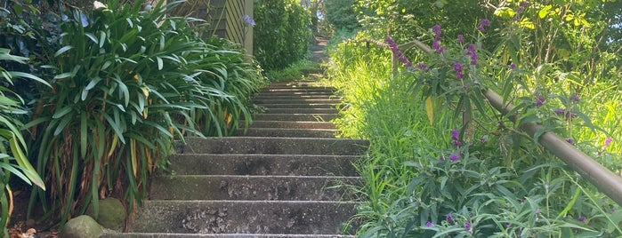 Farnsworth Steps is one of Stairs of San Francisco.