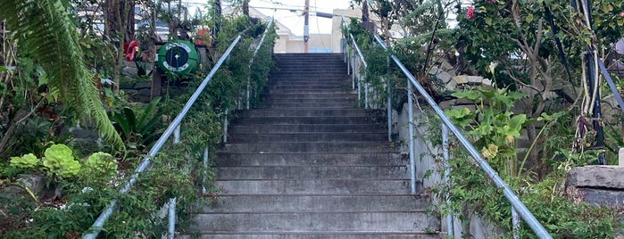 Corbin Stairs is one of Stairs of San Francisco.
