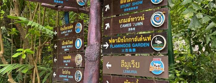 Safari World is one of Thai tour 2014.