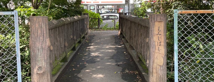 もみじ橋 is one of 東京暗渠橋 〜玉川上水〜.