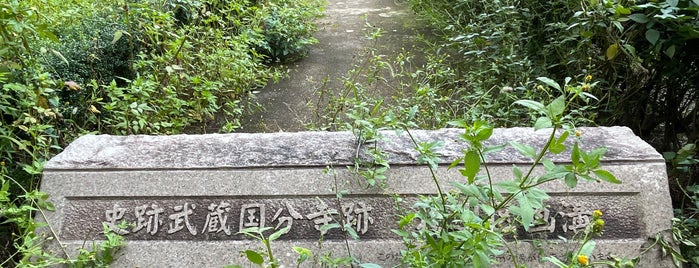 武蔵国分寺跡 北辺区画溝 is one of 東京散歩.