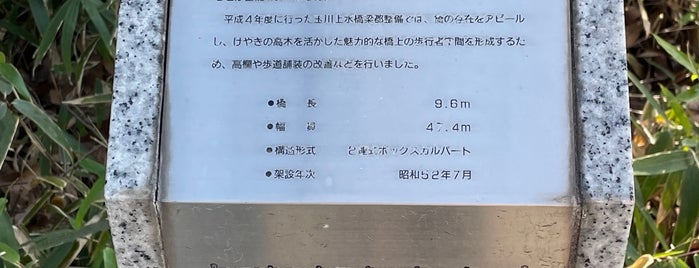 けやき橋 is one of 東京暗渠橋 〜玉川上水〜.