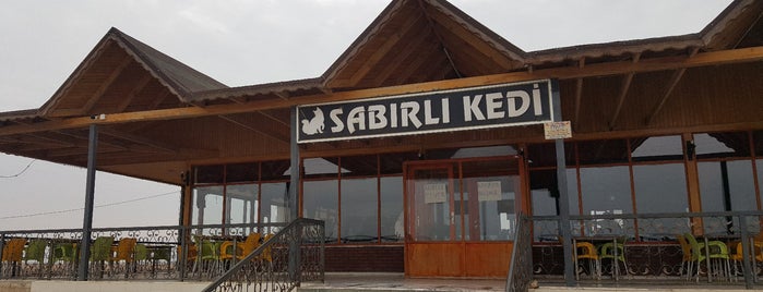 Sabırlı Kedi is one of Orte, die Dincer gefallen.