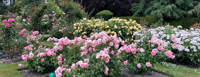 Central Rose Garden is one of 201905 Newsland.