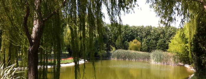 Soğanlı Botanik Parkı is one of * GİDİYORUZ :)).