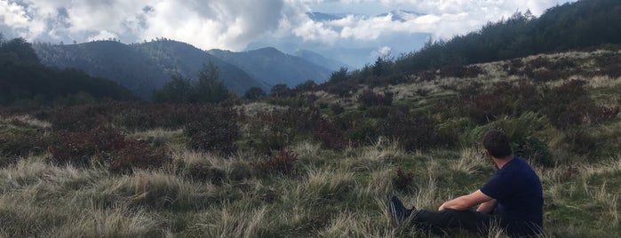 Arap Düzü Doğa Parkı is one of Karadeniz.