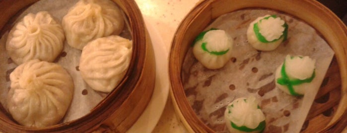 Dragon Noodles & Dumplings is one of China.