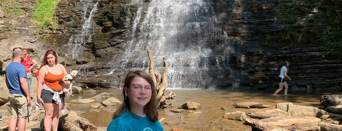 Cathedral Falls is one of barbee’s Liked Places.