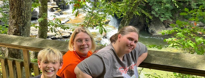 Brush Creek Falls is one of West Virginia.