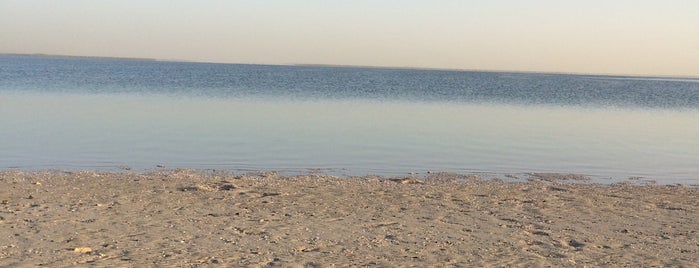 شاطئ ياس is one of Abu Dhabi.