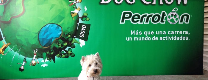Perrotón is one of Lugares Visitados With Mary.