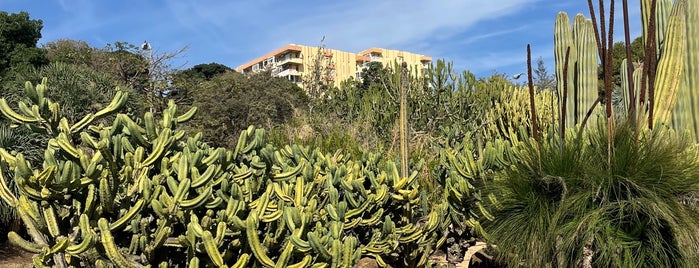 Jardin de Cactus Y Otras Suculentas is one of Malaga.