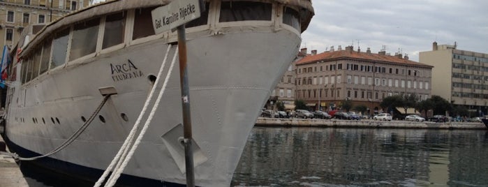 Arca Fiumana is one of Rijeka.