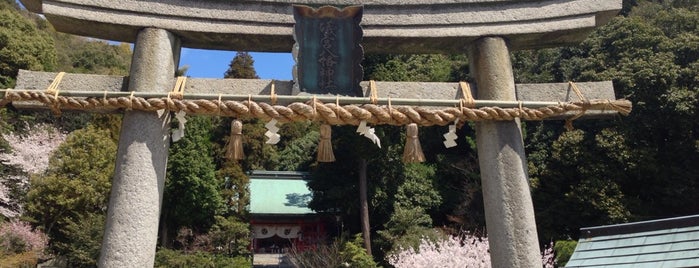 礒宮八幡神社 is one of 日本各地の太鼓台型山車 Drum Float in JAPAN.
