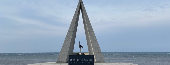 Cape Soya is one of 自然地形.