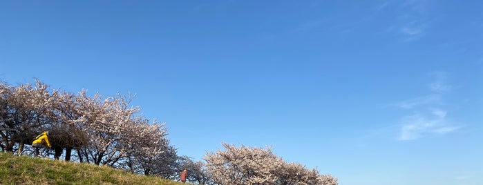 くじら運動公園 is one of 多摩川.