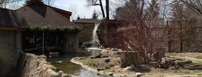 River Otter Habitat is one of Detroit Zoo.