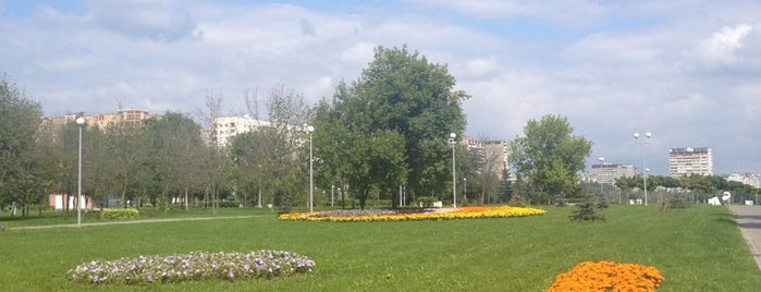 Сквер в Гольяново is one of สถานที่ที่บันทึกไว้ของ Елизавета.