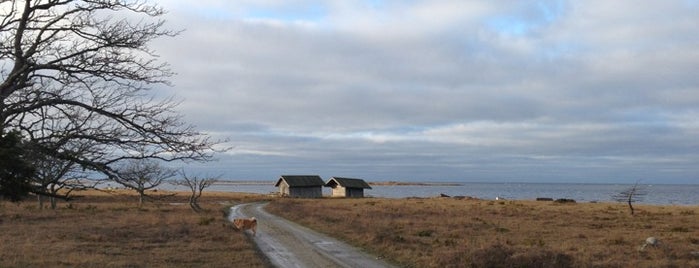 Petesviken is one of Gotland.