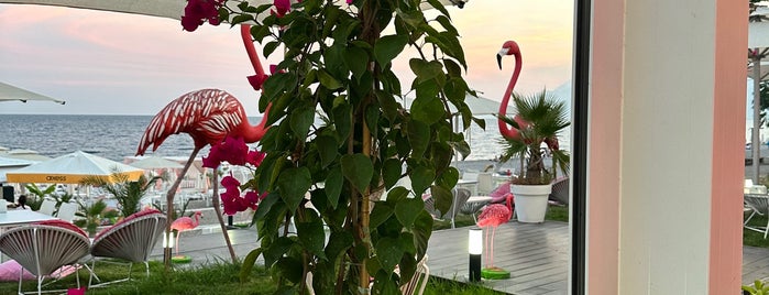 Flamingo Beach is one of 🇹🇷 Antalya.