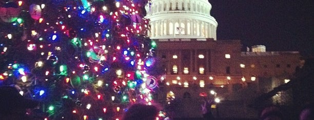 Capitol Christmas Tree is one of December in DC.