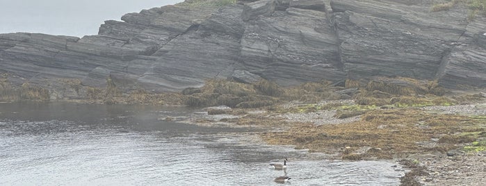 Kettle Cove is one of Portland, MAINE.