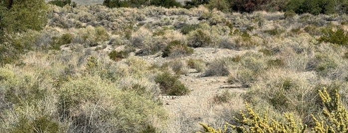 Desert National Wildlife Refuge - Corn Creek Station is one of Tempat yang Disukai Heather.