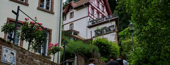 Endlose Schlosstreppe is one of Heidelberg.