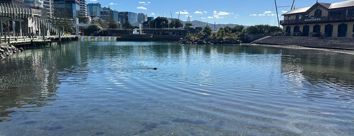 Wellington Waterfront is one of Wellington To-Do List.