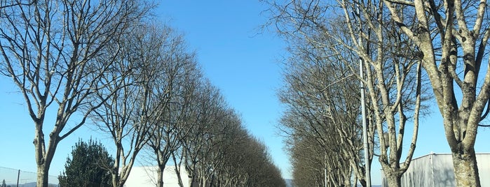 Vila Nova de Gaia is one of Cities in Portugal and Galicia.