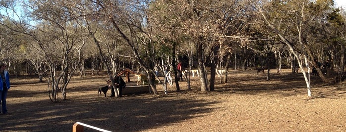 Phil Hardberger Dog Park is one of Lugares favoritos de Rossy.