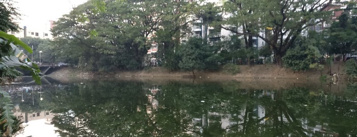 Dhanmondi Lake is one of The best after-work drink spots in Dhaka.