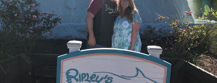 Ripley's Aquarium is one of Posti che sono piaciuti a Mike.