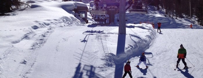 Malga Panciana is one of Winter in Val di Sole.