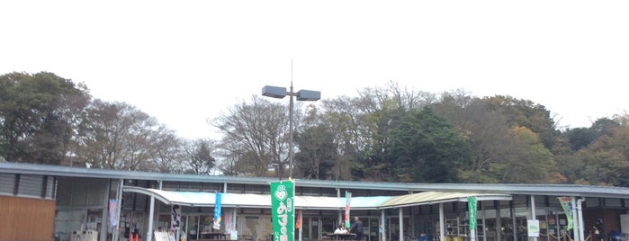 道の駅 あずの里いちはら is one of Tempat yang Disukai Yutaka.