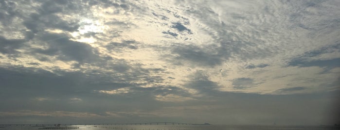 Sodegaura Seaside Park is one of Tempat yang Disukai sakanaya.