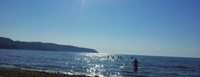 Spiaggia della Giannella is one of Posti che sono piaciuti a Michela.