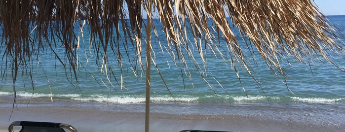 beach Del mar cafe is one of Locais curtidos por Oksana.