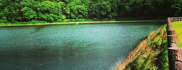 箸墓古墳（倭迹迹日百襲姫命大市墓) is one of 西日本の古墳 Acient Tombs in Western Japan.