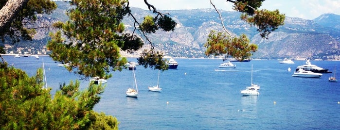 Paloma Beach is one of French Riviera.