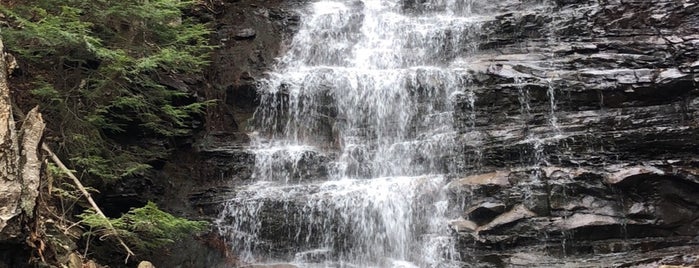 Bear Creek Falls is one of Waterfalls - 2.
