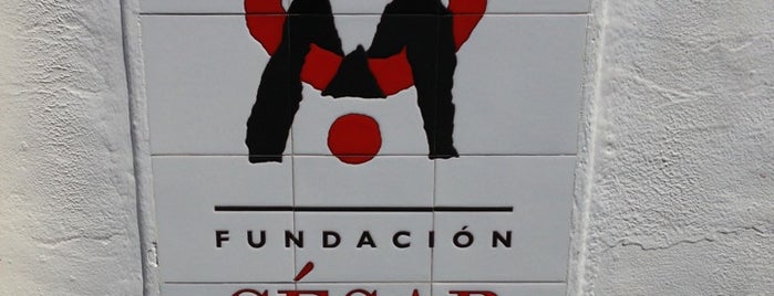 Fundación Cesar Manrique is one of Some of my favourite places.