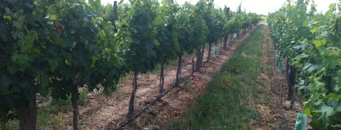 Bodega Navarro Correas is one of Mendoza Tour.