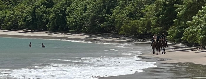 Playa Puerto Viejo is one of Costa Rica.