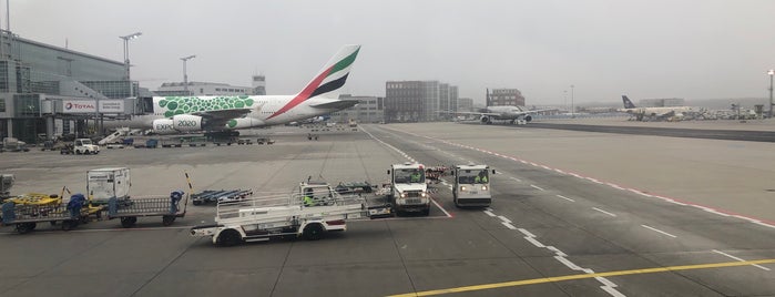 BA0905 to London Heathrow LHR is one of Frankfurt - October 2022.