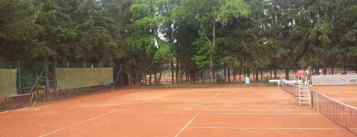 TC Tennisclub Haßloch is one of Tennis und anderer Sport.