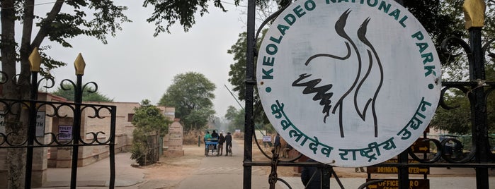 Keoladeo National Park is one of Arvind’s Liked Places.