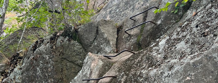 Ladder Trail is one of Boston.