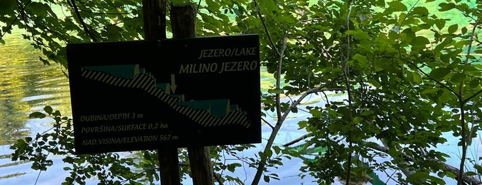 Jezero Milino is one of Plitvice National Park.